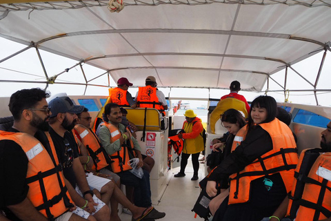 Pattaya's India Coral Island Specialists Local Experts