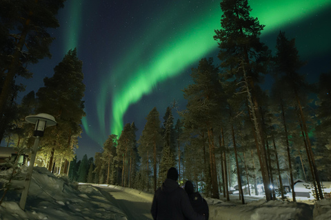 Levi: Aurora Hunting by Car