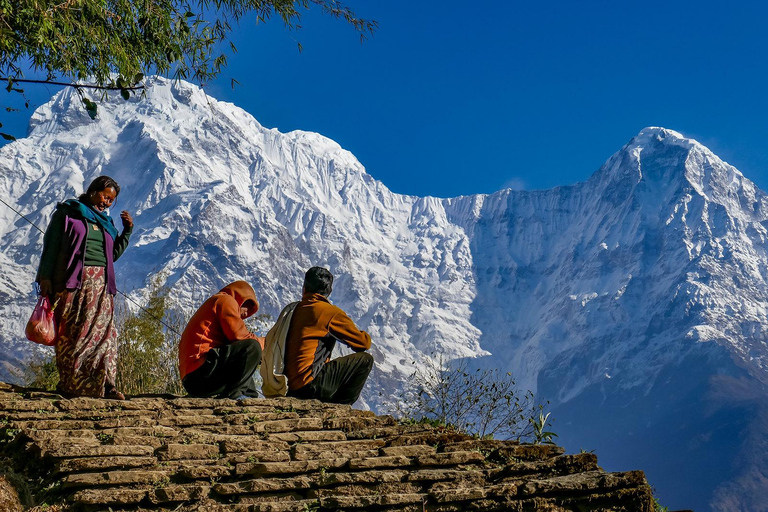 Ghorepani Poonhill Trek