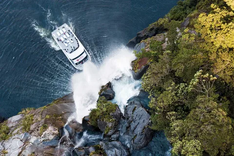 Milford Sound : Croisière nature - Vues grandioses et déjeuner facultatif