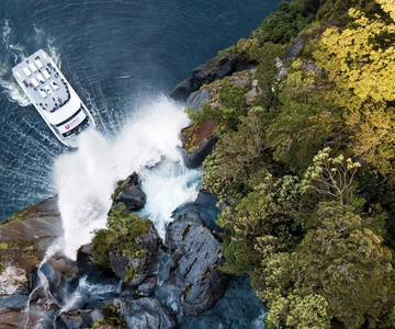 Milford Sound: Naturkryssning - storslagna vyer och valfri lunch