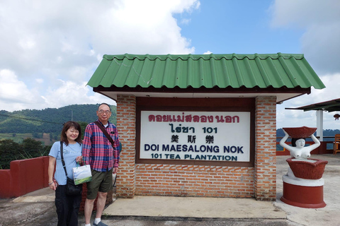 Chiang Rai: Mountains Discovery Doi Mae Salong & Doi Tung Mountains Discovery:Doi Mae Salong & Doi Tung (Private Tour)