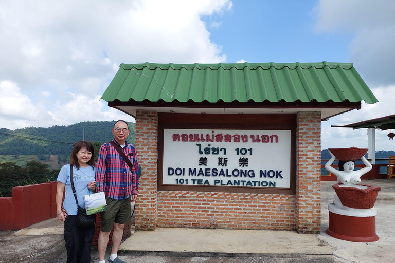 Chiang Rai: Mountains Discovery Doi Mae Salong & Doi Tung Mountains Discovery:Doi Mae Salong & Doi Tung (Private Tour)