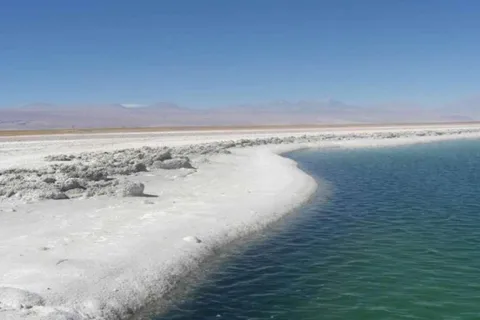 San Pedro de Atacama: Tour of Salar de Atacama Lagoons