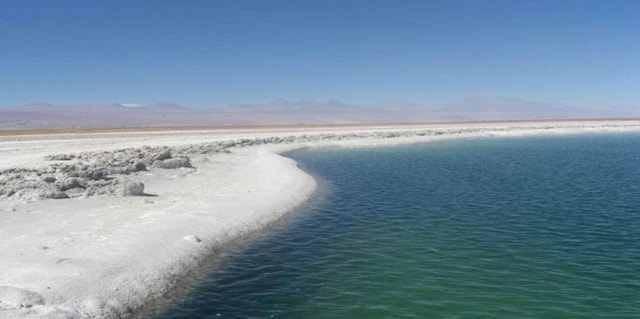 San Pedro de Atacama: Tour of Salar de Atacama Lagoons
