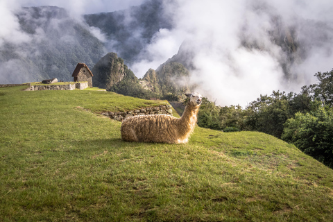 From Cusco: Excursion to Machu Picchu with Train included From Cusco: Day Trip to Machu Picchu with Train Included