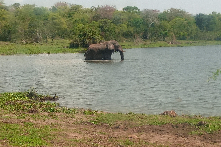 Kigali: Akagera National Park Full-Day Safari Day trip Akagera national park