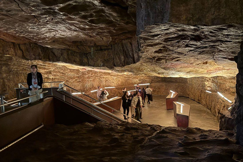 Excursion: Neocueva de Altamira | Santillana del Mar | Comillas Excursion: Altamira Cave | Santillana del Mar | Comillas