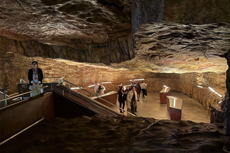 Excursion: Neocueva de Altamira | Santillana del Mar | Comillas Excursion: Altamira Cave | Santillana del Mar | Comillas
