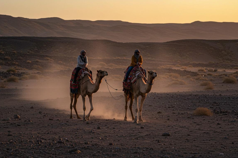 Marrakech: Agafay Wüste Quad &amp; Kamelreiten mit Dinner ShowMarrakesch: Quad- und Kamelritt in der Agafay-Wüste mit Dinner-Show