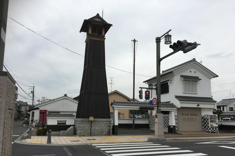 Yamato-Koriyama: Ganztägiges privates Goldfisch-Erlebnis