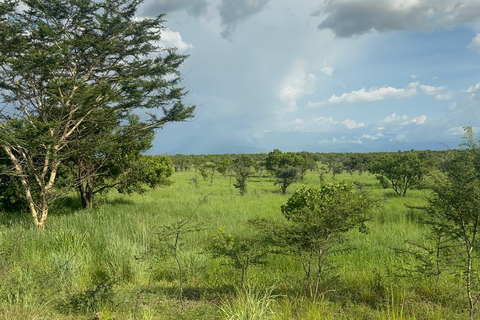 Addis Ababa: 6-Day Bale Mountains Trekking Tour