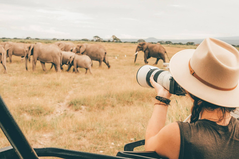 Arusha : safari de 4 jours sur la migration de Ndutu et le cratère du Ngorongoro...Arusha : 5 jours de safari de migration dans le Ndutu et le cratère du Ngorongoro ...