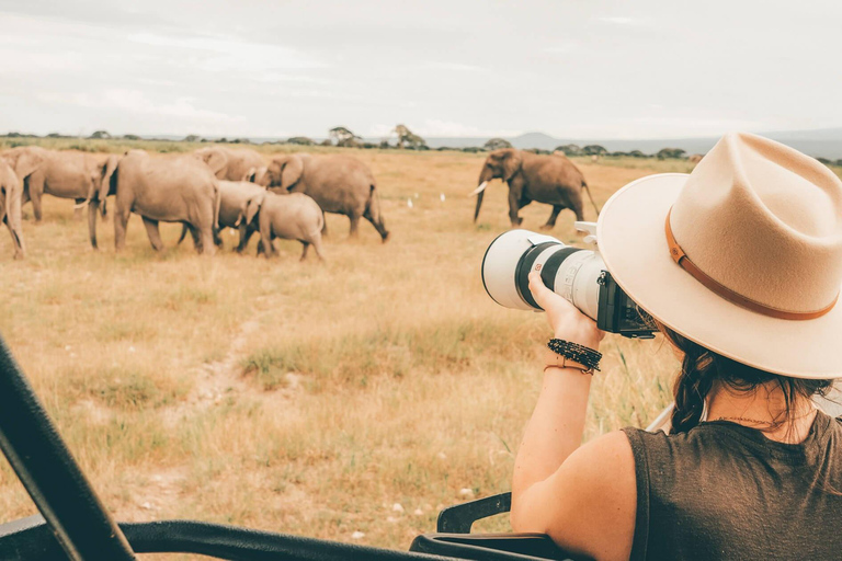 Arusha : safari de 4 jours sur la migration de Ndutu et le cratère du Ngorongoro...Arusha : 5 jours de safari de migration dans le Ndutu et le cratère du Ngorongoro ...