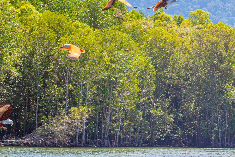 Langkawi: Caverna, alimentação de águias, alimentação de peixes e almoço