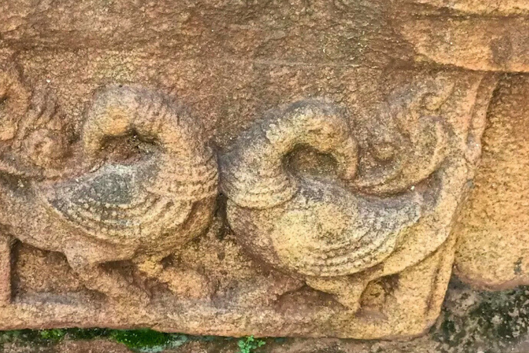 Bengaluru: Fort Guided Tour with Entry Ticket