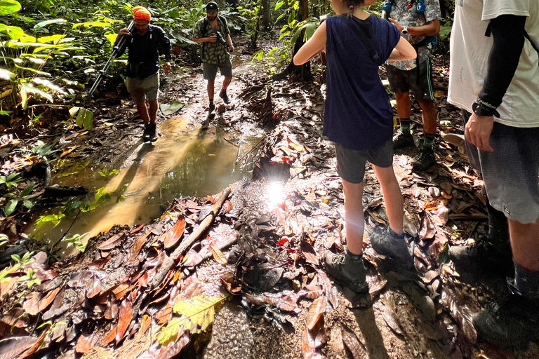 Parco Nazionale del Corcovado: Tour di un giorno da Puerto Jimenez!