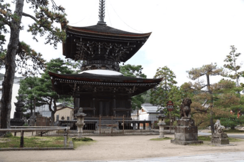 Amanohashidate & Ine Bay Tour With English Speaking Driver