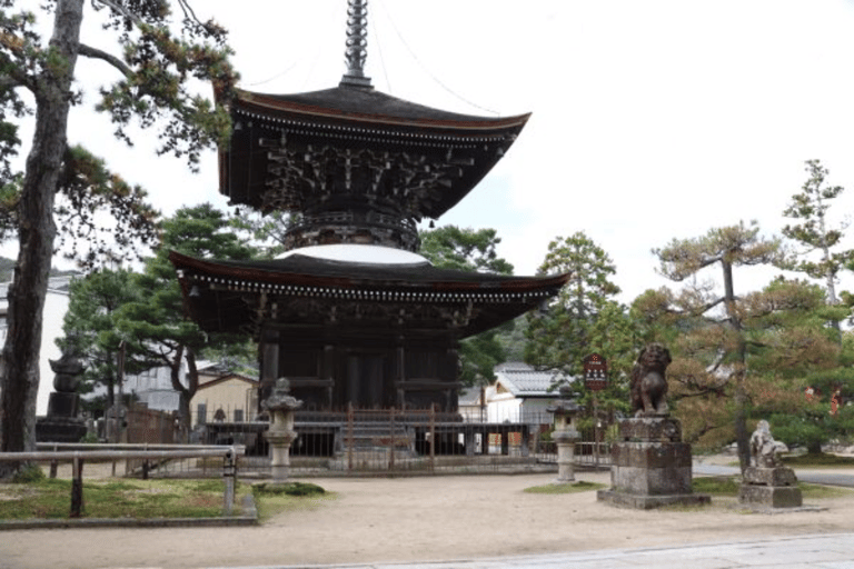 Amanohashidate & Ine Bay Tour With English Speaking Driver