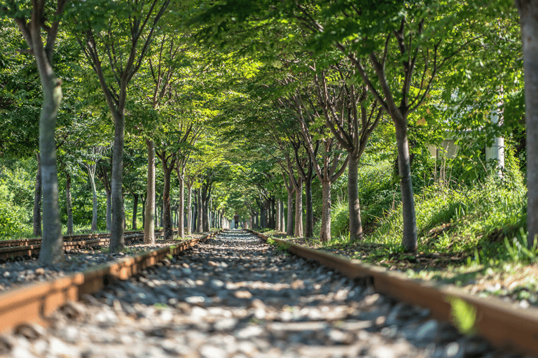 Seoul: Funivia di Samaksan e Nami con Alpaca World/Railbike