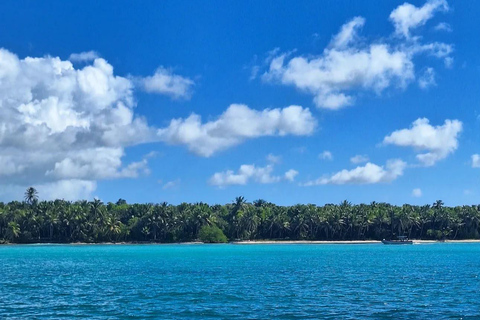 From Uvero Alto: Classic Catamaran Cruise to Saona Island
