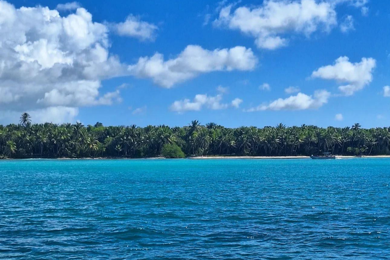 From Uvero Alto: Classic Catamaran Cruise to Saona Island