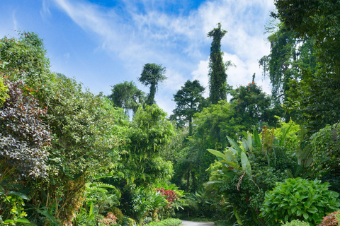 Ambewela to Kandy Scenic Highlands Tour via Nuwara Eliya