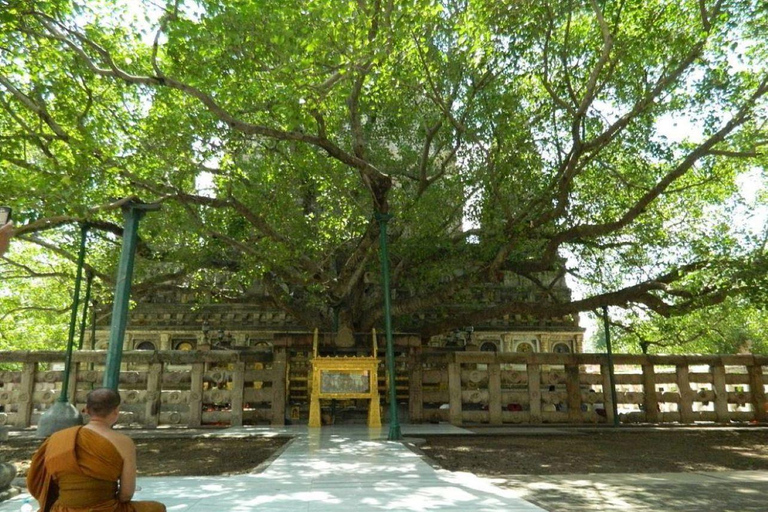 Sarnath: tour de día completo con guía desde Benarés, incluido el almuerzo