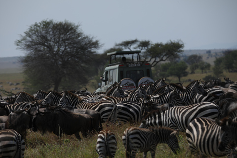 5-tägige Gruppen-Safari im Norden Tansanias