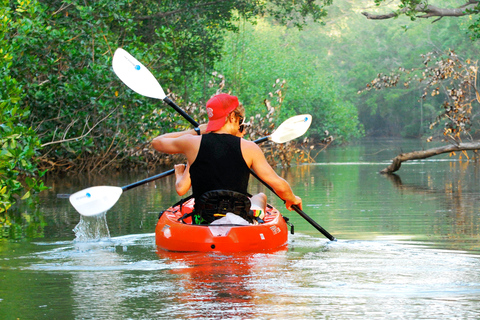 Uvita : Parc national Marino Ballena Kayak de mer et plongée en apnéeParc national Marino Ballena Kayak de mer et plongée en apnée