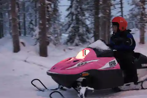 Rovaniemi: Family Snowmobile Safari