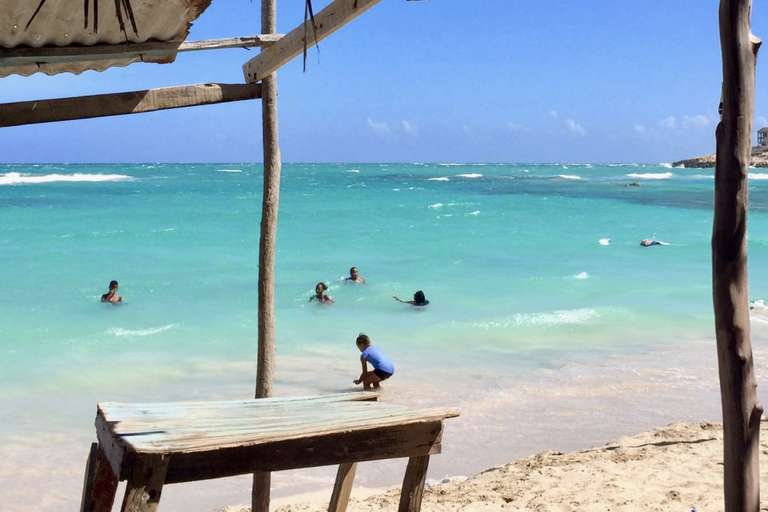 Depuis Negril : Transfert partagé aller simple vers Kingston