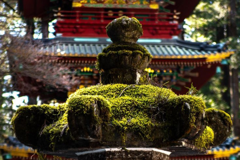 Nikko Private Sightseeing Tour with Hotel Pickup Included