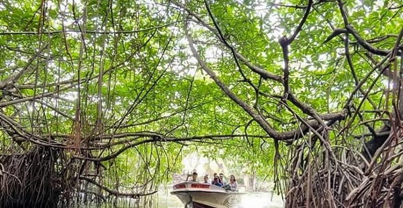 From Bentota: Madu River, Cinnamon Island & Mask Tour