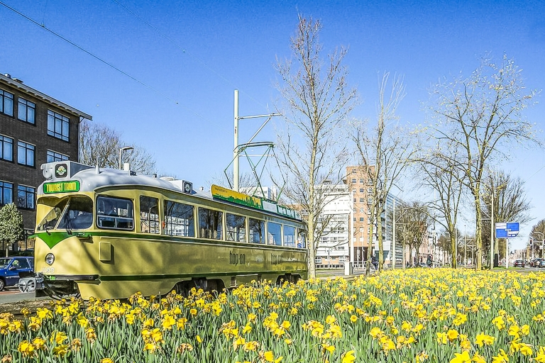 Den Haag: hop-on, hop-off toeristische tram