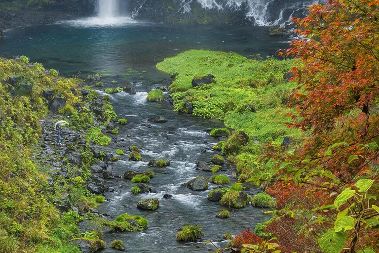 Private Tour From Tokyo To Mount Fuji with Custom Itinerary Mount Fuji Full-Day Private Tour Customizable individual