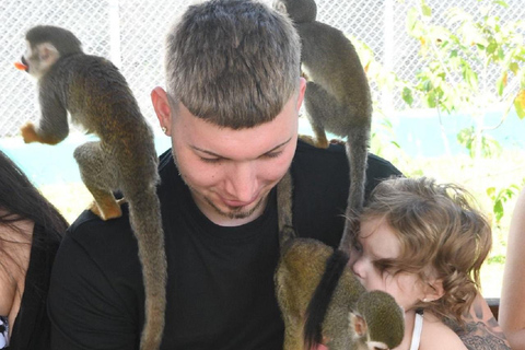 Amber Cove & Taino Bay: Private VIP Monkeys & Beach Escape