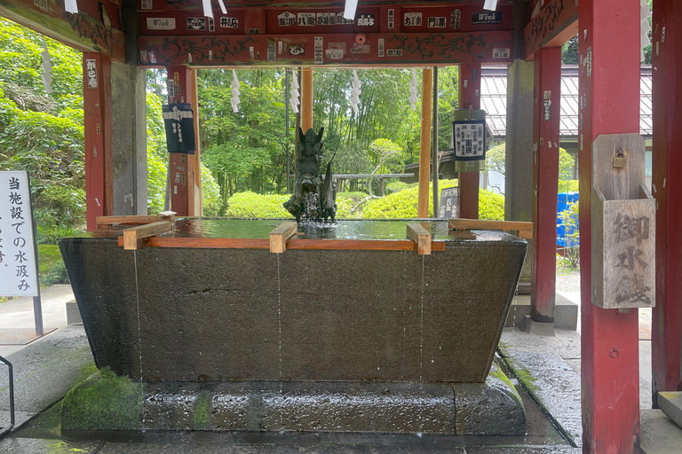 4-Daagse privétour Mt Fuji, Hakone, Nikko en Tokio.