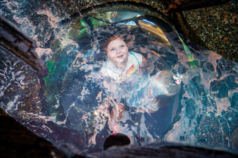 Niagara: Aquarium of Niagara General Admission