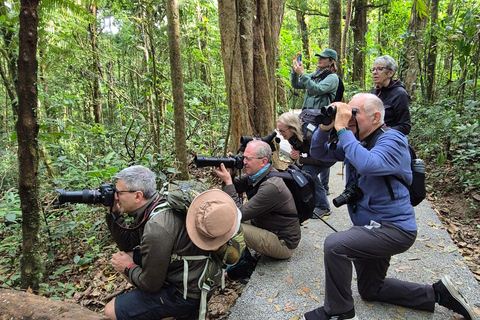 Monteverde: Small-Group Bird Safari with Expert Local Birder