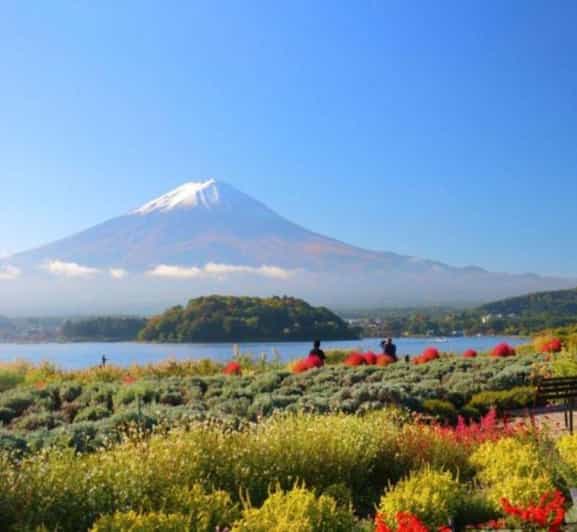 Shizuoka: Mount Fuji & Hakone Private Day Trip