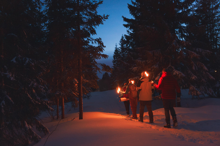 Oslo: Caminhada à luz das tochas na floresta nevada com fogueira