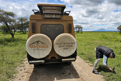 Last-Minute Tarangire Safari Packages