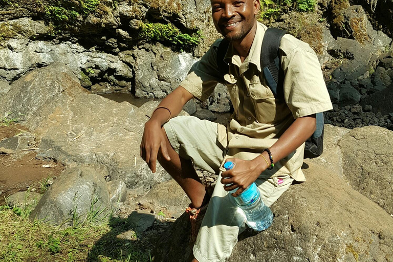 Moshi: Guided Waterfall Hike with Local Stories