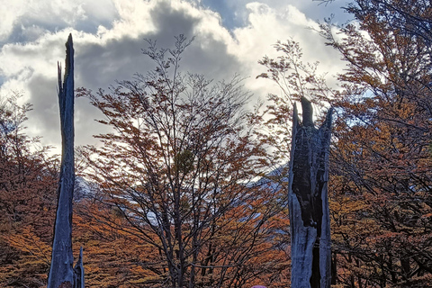 Torres del Paine: Aventura Express (2 dias)