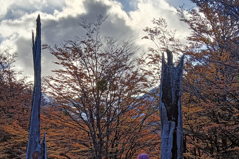 Torres del Paine: Aventura Express (2 dias)