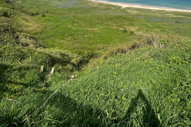 Giants causeway & whiskey tour