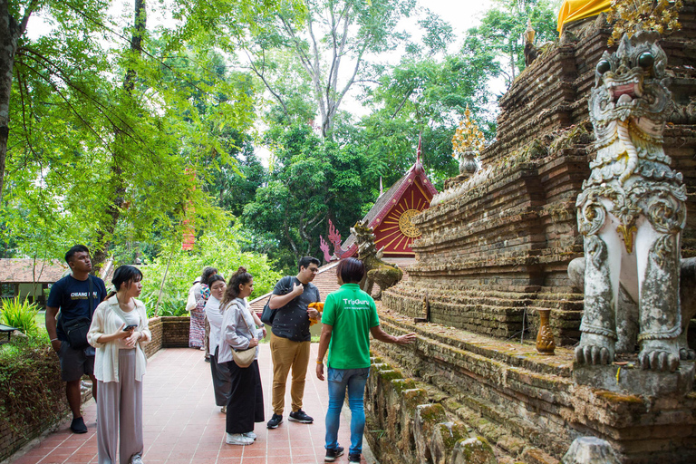Chiang Mai: Monk's Trail Hike, Wat Pha Lat & Doi Suthep Tour Small Group Tour