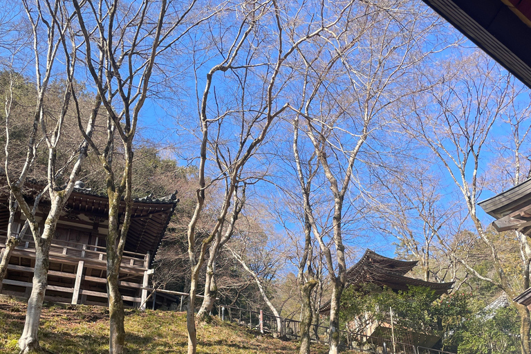 Kyoto: A Different Side of Arashiyama Guided Walking Tour