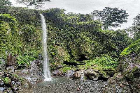 Arusha: Tagestour zum Mount Meru Wasserfall mit Mittagessen